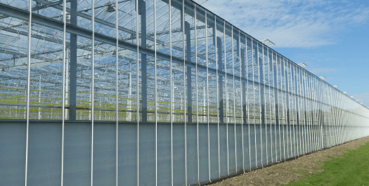 Greenhouse