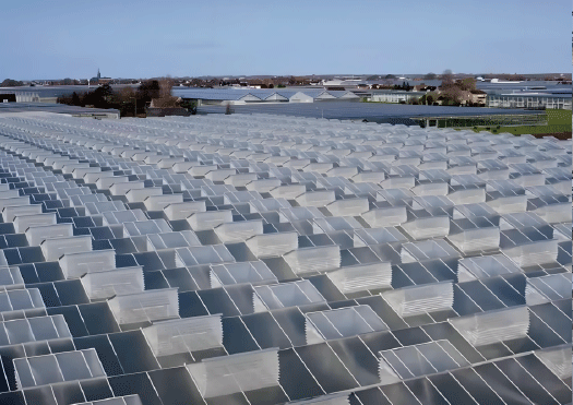 Roof window system