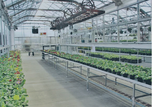 Seedling bed system